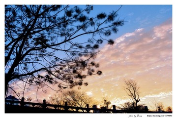 _dsc1155 web