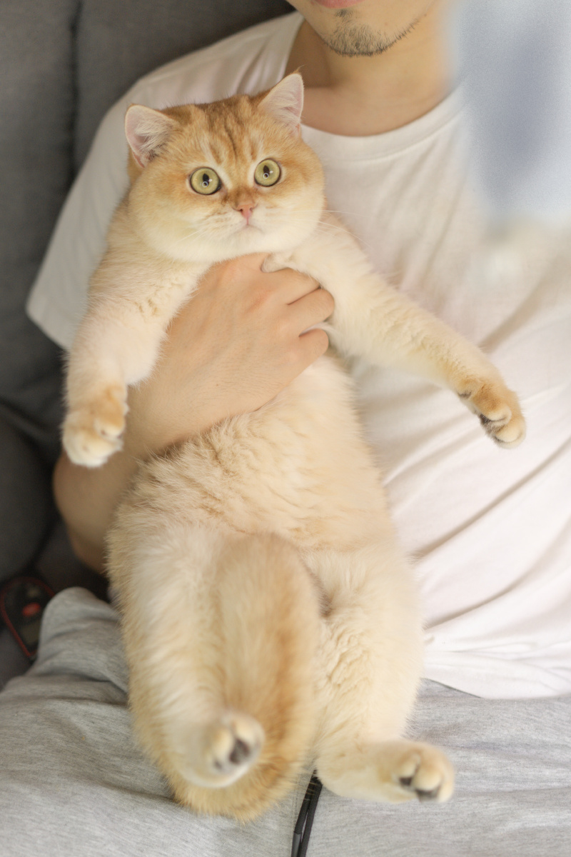 800_1200竖版 竖屏