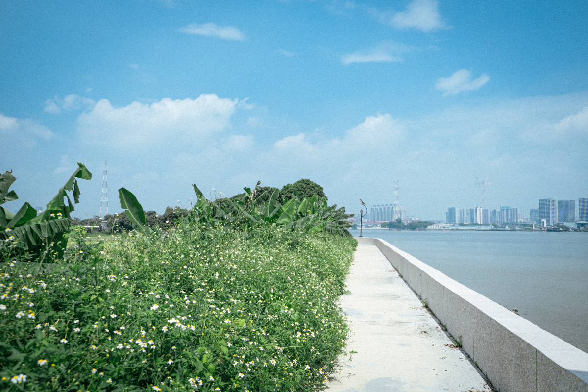 广州大吉沙岛一个远离喧嚣的小岛