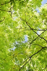0899095F-8E7A-4501-9C81-FC67619DE92A/L0/001