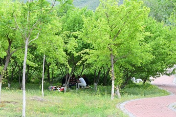 A058AB42-7A97-4D38-BC84-E27014F7742E/L0/001