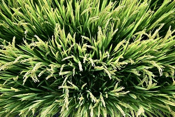 6AF8B13E-4FF9-4108-94C9-A24670CFC7B2/L0/001