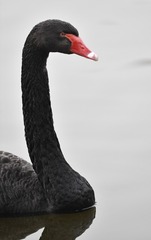 3012