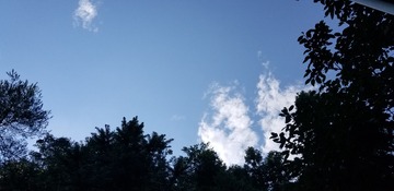 843967