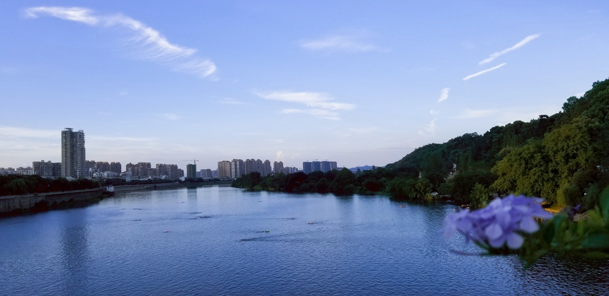 每次路过信江河我都喜欢拍几张照片