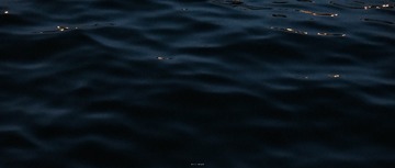 1000052508
