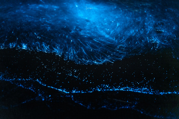 前浪后浪