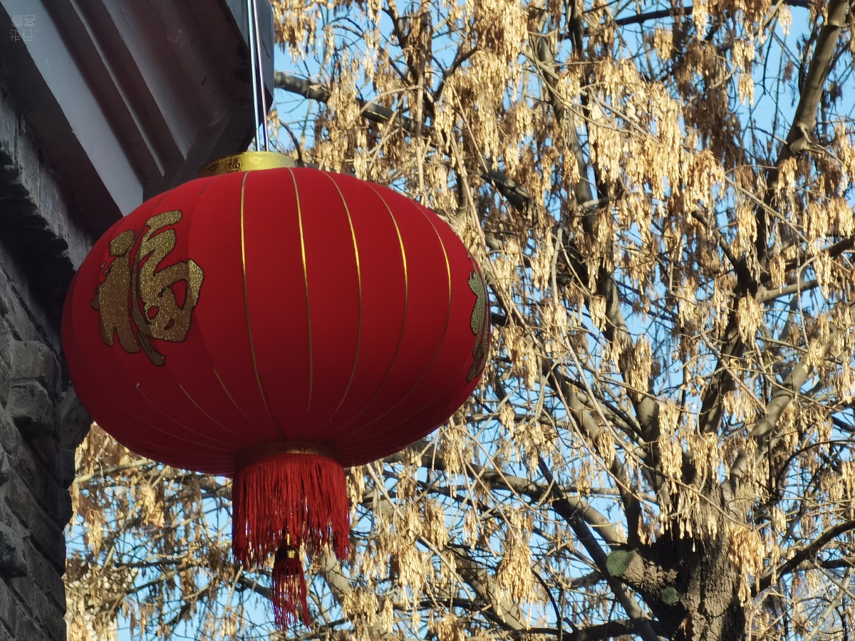 温州发廊不正经摄影爱好者手机扫街记录后春节景色其中几张照片略有