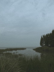 103741
