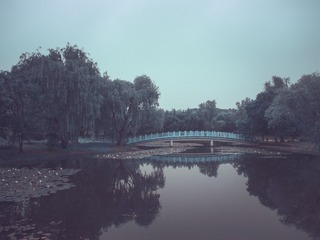 106184