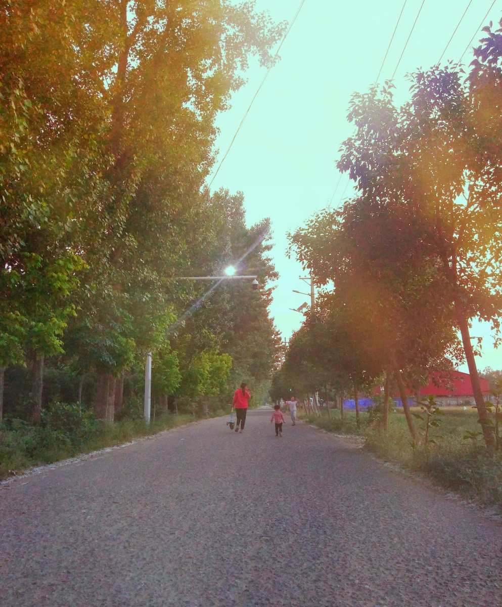 傍晚散步平平淡淡其乐融融生活的小确幸