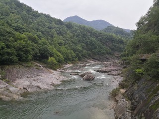 3589203