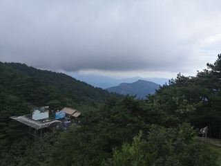 3589252