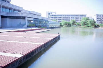_80A3169-2
