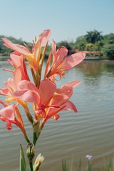 2F01AC69-D20F-4F32-872B-BB2BE321AE83/L0/001