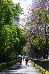 7E0956CD-C762-49DD-B310-5CB0EBB10A86/L0/001