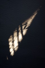D476A81B-FF35-4FDF-B53D-5E73297902D9/L0/001