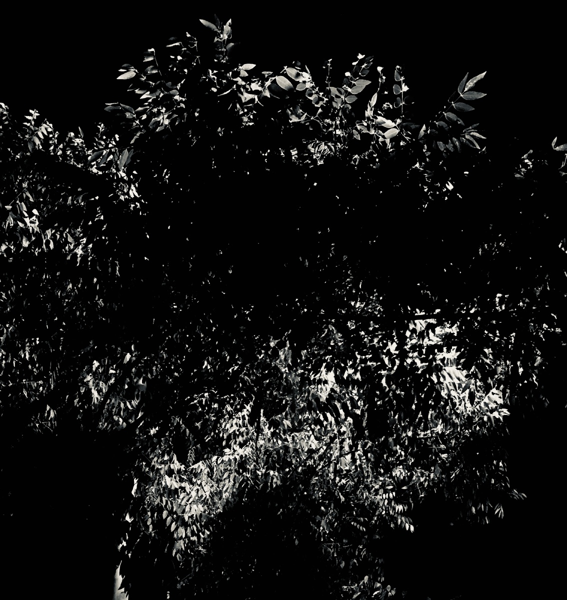 无彩的照片像极了影子一样的生活一处黑一处白黑白两极之间的关系不就