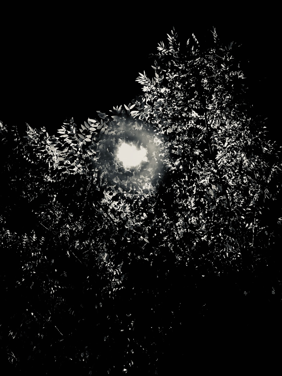 无彩的照片像极了影子一样的生活一处黑一处白黑白两极之间的关系不就