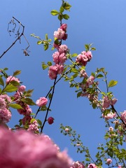 5F4F1F0A-188E-4955-A56D-AEAA08924F75/L0/001