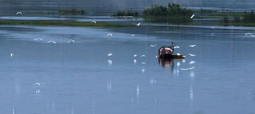 仙境[图]