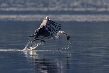 3U4A8707_1-1