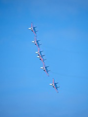 1000045213