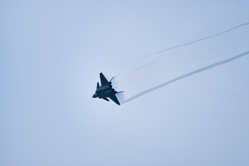 1000045169