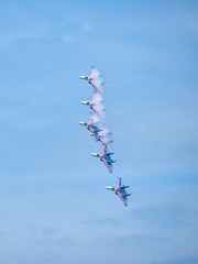 1000045207