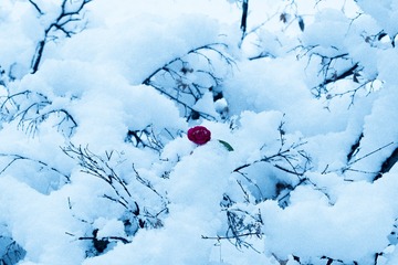 614483B5-3F12-4A5F-B9A1-5F7C7E014579/L0/001