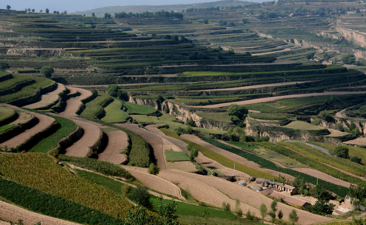 甘肃定西夏天的山地梯田