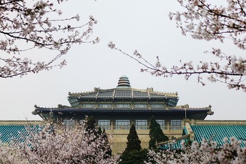 樱花节总得留一张纪念不是