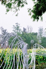 D9621A4C-0242-45DE-9D5A-61E4B60A20ED/L0/001