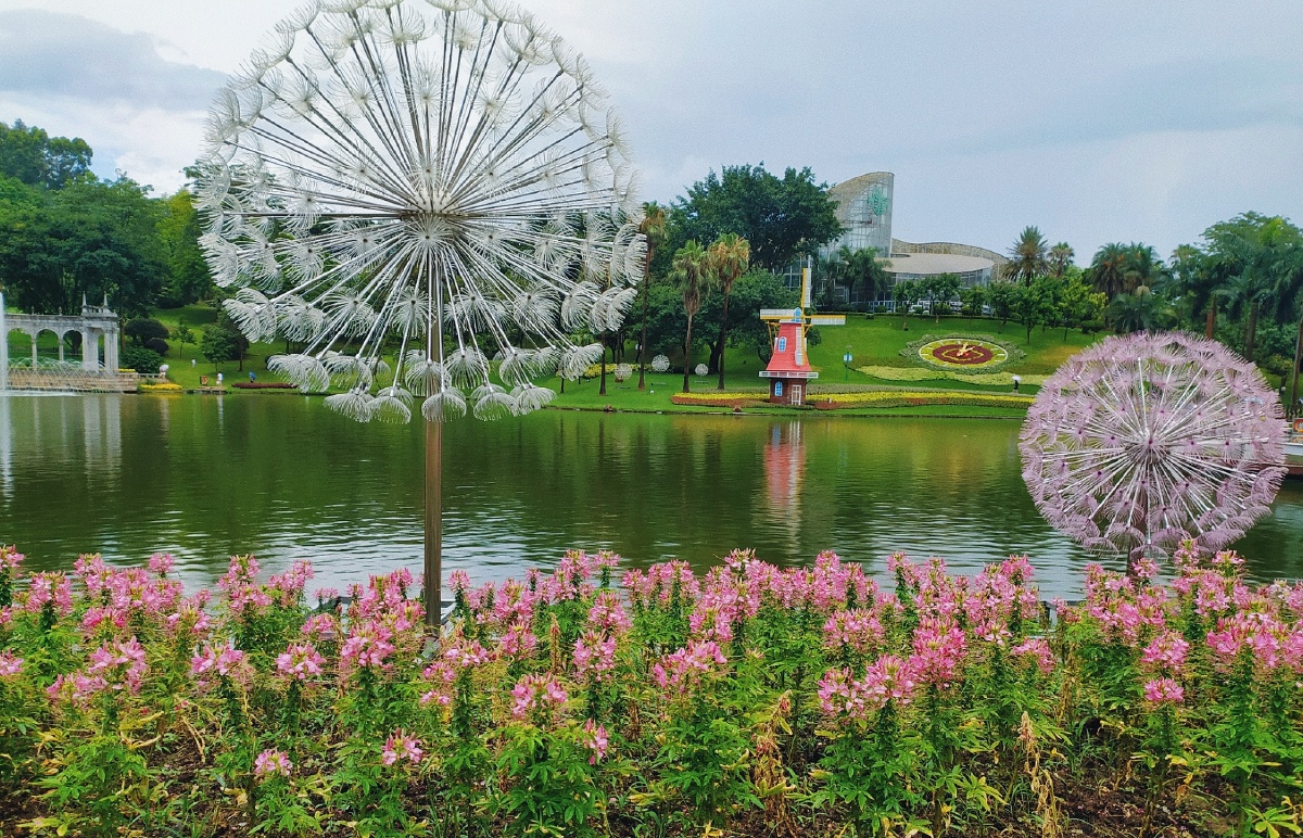 日常风景-广州白云区