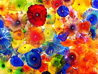 玻璃 花 Colorfulness 野花 生物 花瓣 厂 艺术 模式 水彩颜料 喇叭花 迷幻艺术