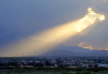 棕榈 弹簧 天空 云 大气层 大气现象 白天 晚间 阳光 地平线 积云 地质现象 气象现象 市