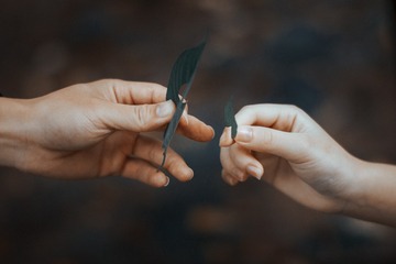 497750
