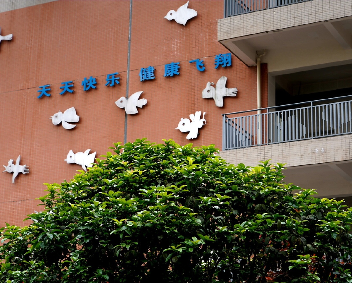重庆谢家湾小学