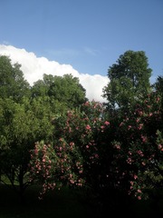 EABFA3FD-ED63-4FD3-97CF-6B98CE761F84/L0/001