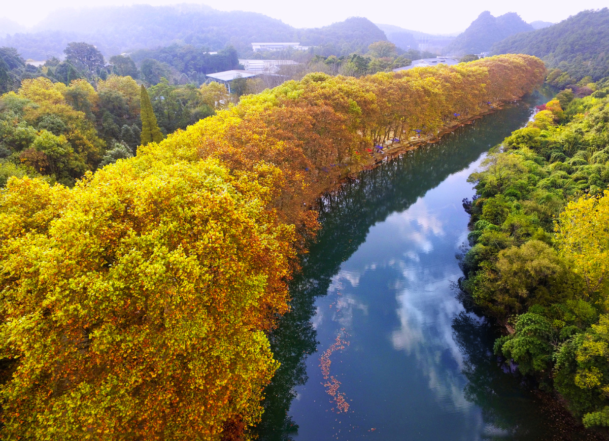 贵阳花溪黄金大道