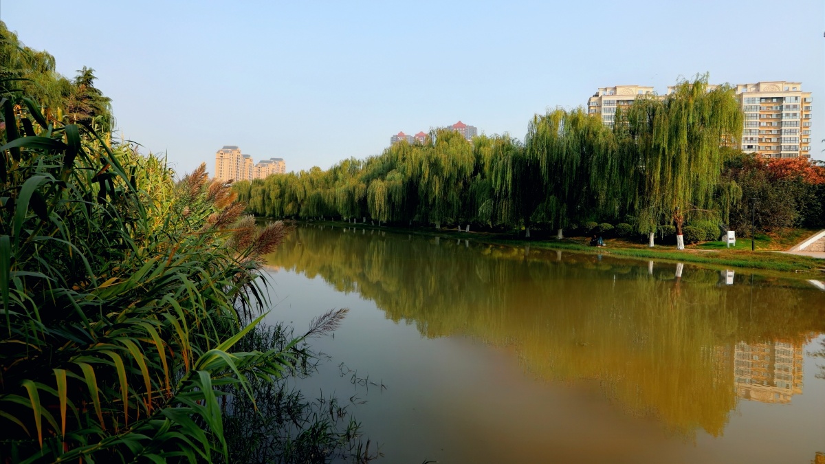 新乡牧野公园秋色微冷碧水连波鼎立中原小径红叶