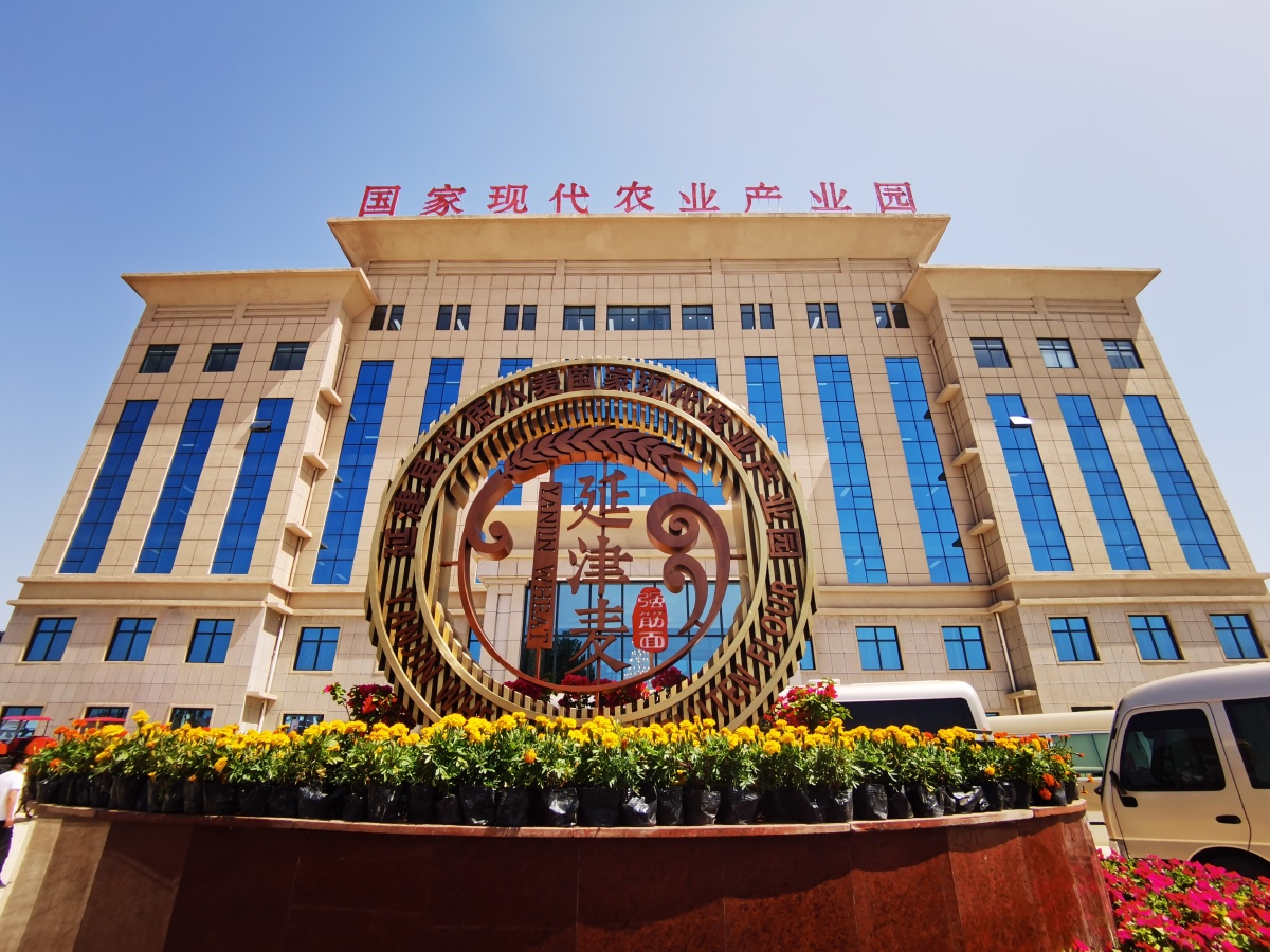 延津小麦中国第一麦国家现代农业产业园展示区
