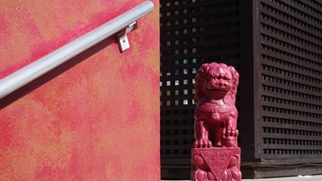 IMGP2871_副本
