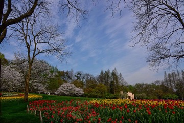 _DSC2812-1