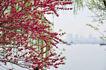_DSC3023-1