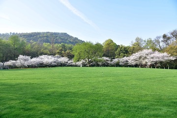 _DSC2740-1