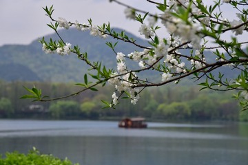 _DSC3006-1