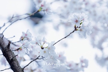 18D32B1B-A262-402A-B7E9-2468263C79FD/L0/001