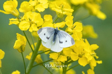 A83AE584-1B37-4927-AE68-BDFBDF128A46/L0/001