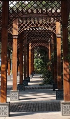 DSCF4493-1